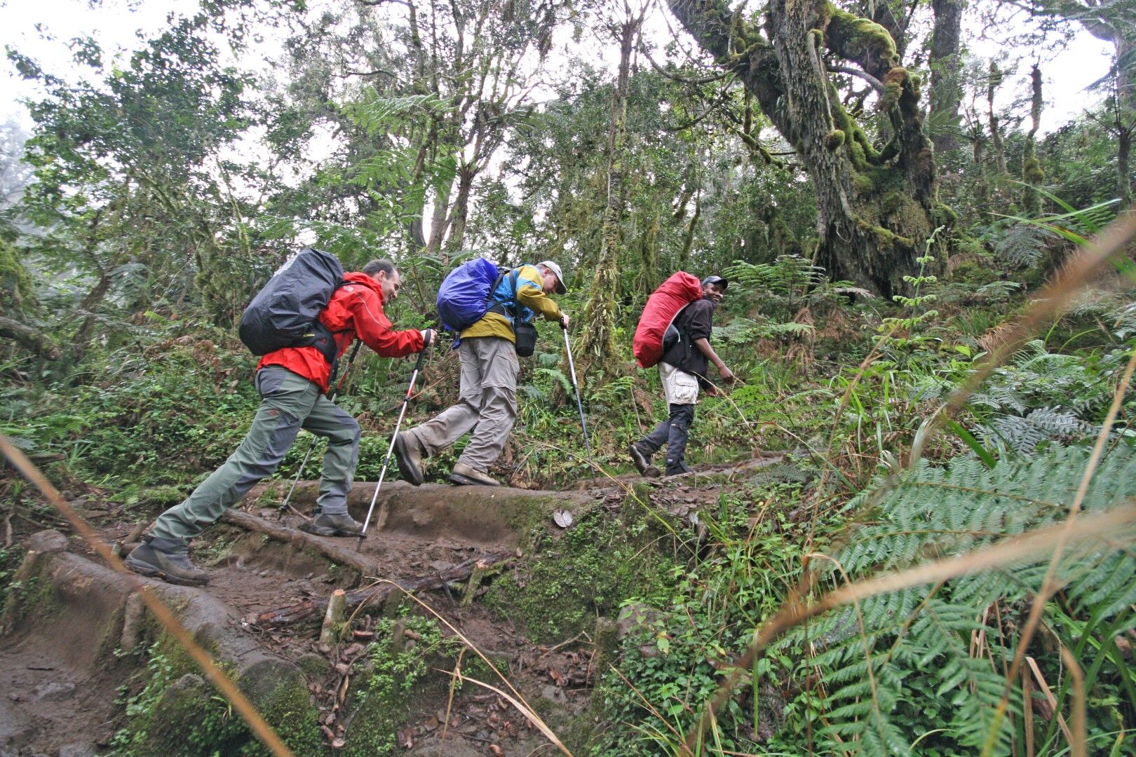 The Ultimate Guide to Walking Safaris in Africa: From Table Mountain to Big 5 Bush Walks