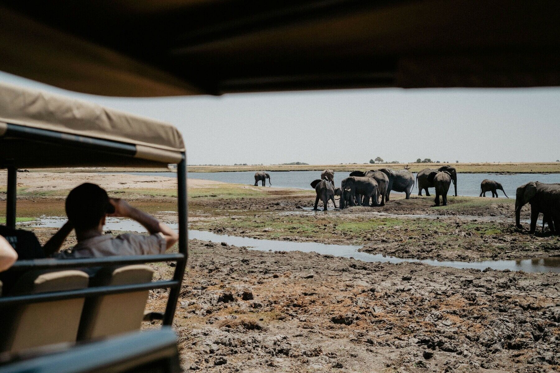 Discover Botswana: Chobe National Park