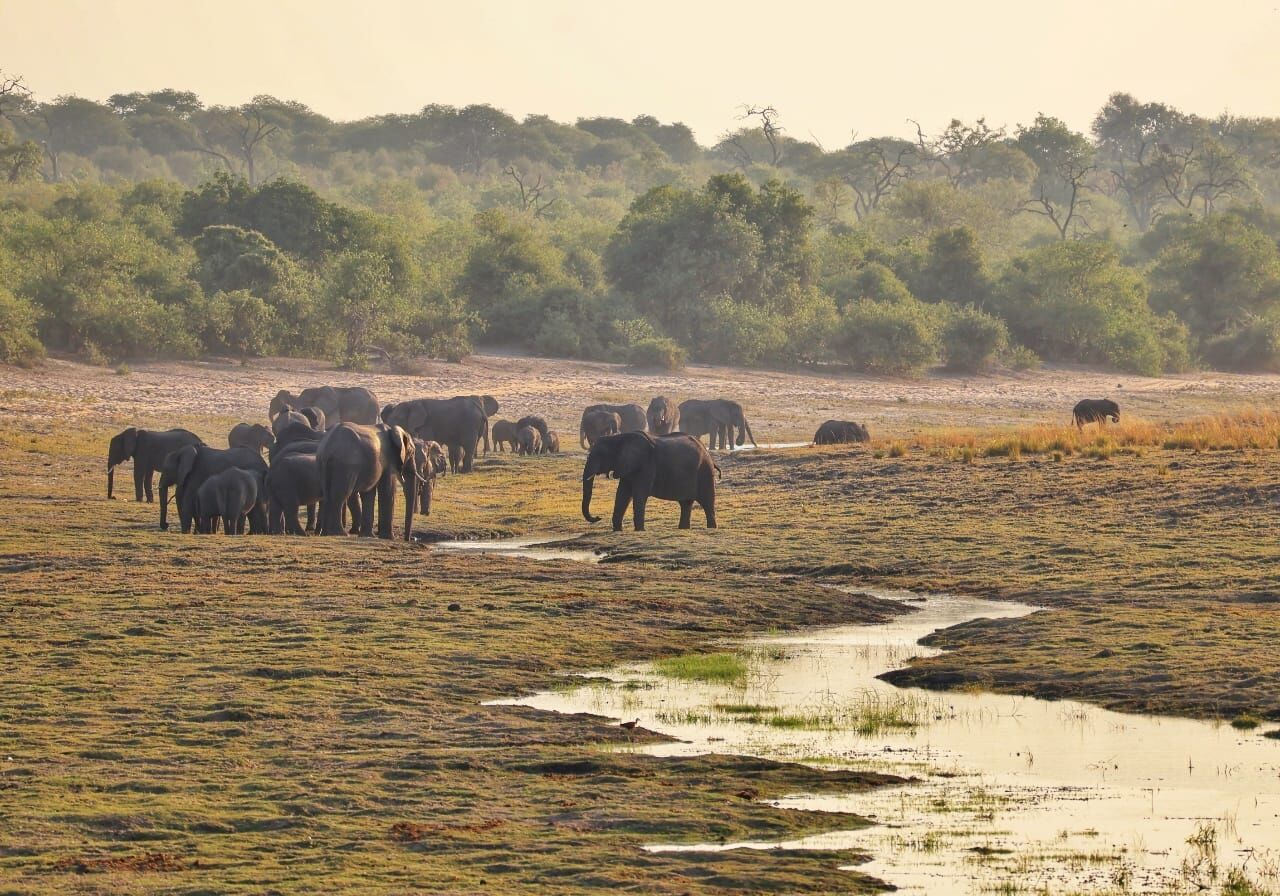 Advice on choosing an African overland tour