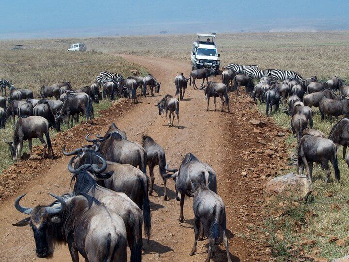 41 Day Nairobi to Cape Town Overland (Comfort) Overland