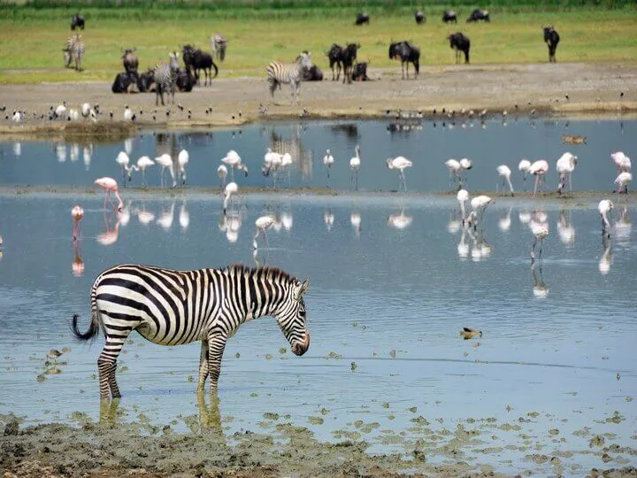 Tanzania Travel Tips – Unique Experiences not to be missed [Tips]