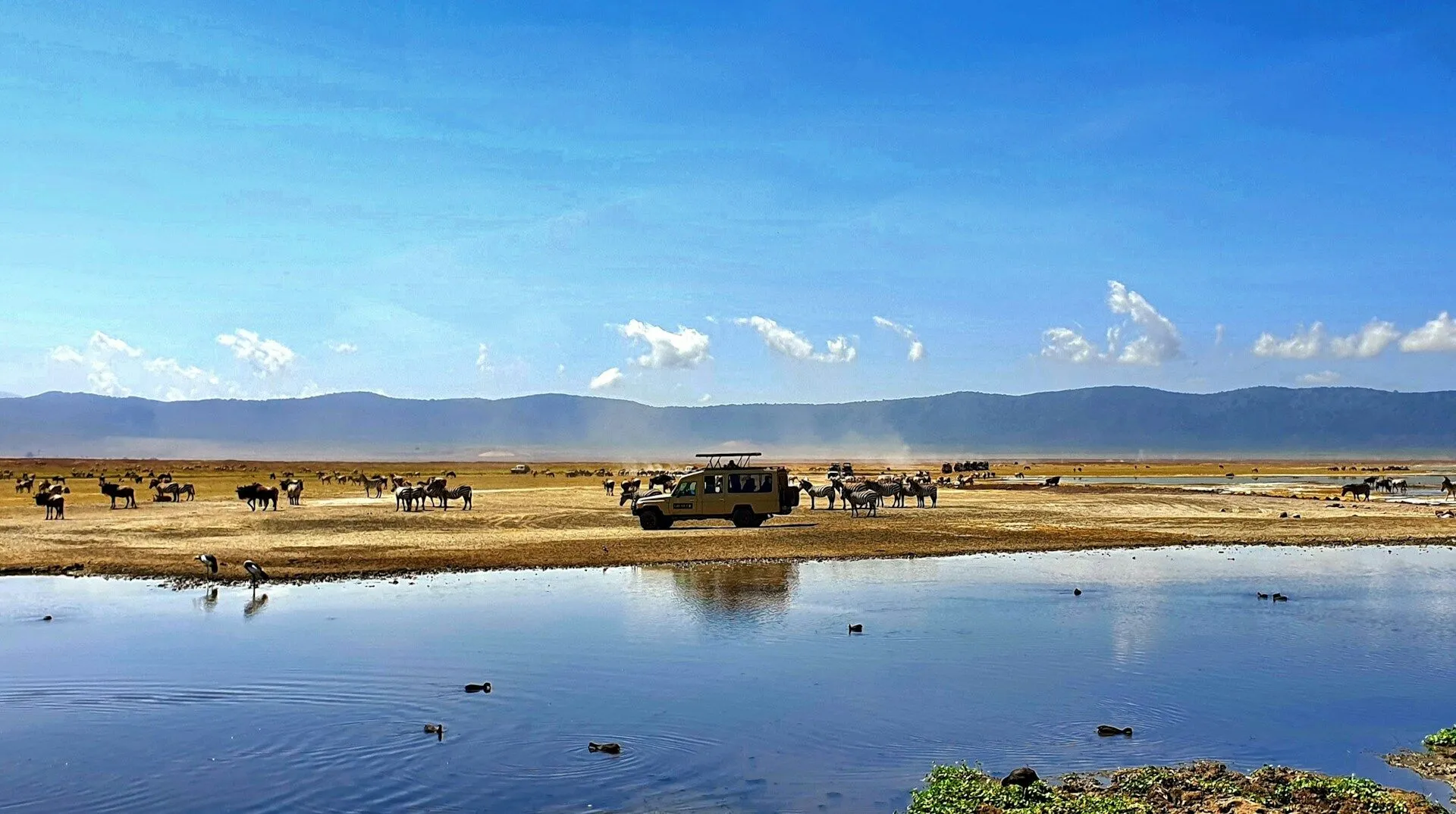 How to do an Ngorongoro Crater safari on a budget
