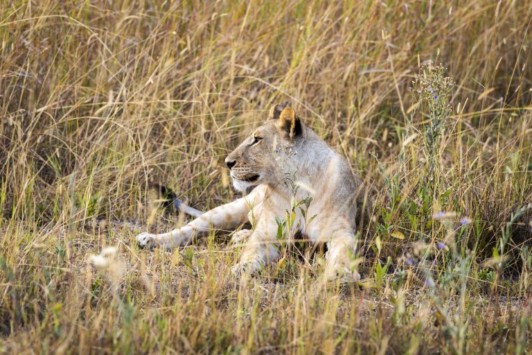 When is the best time to go to East Africa?