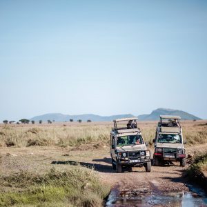 16 Day Kenya and Tanzania Family Safari