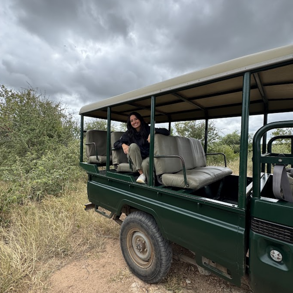 kruger national park game drives