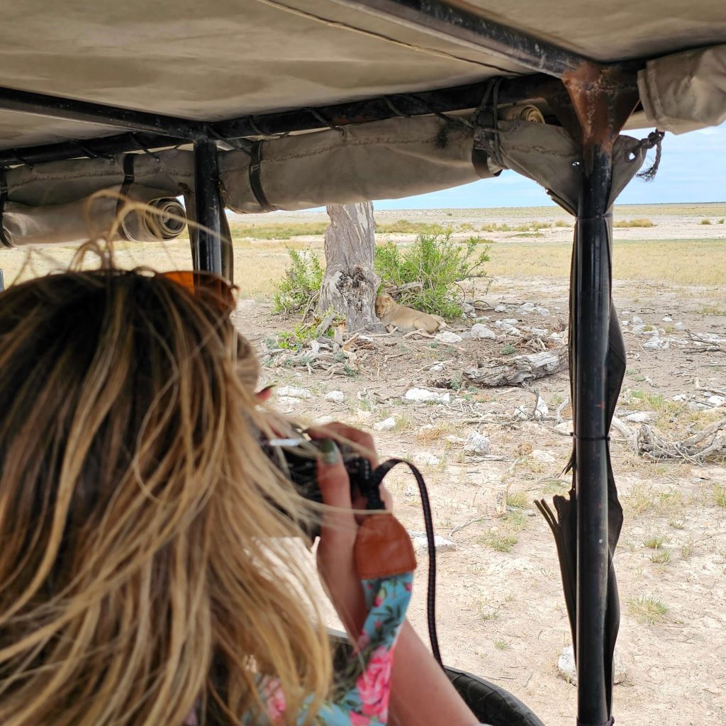 etosha national park game drives