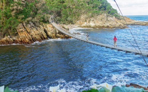 African Overland Tours Tsitsikamma national park, Garden route, South Africa