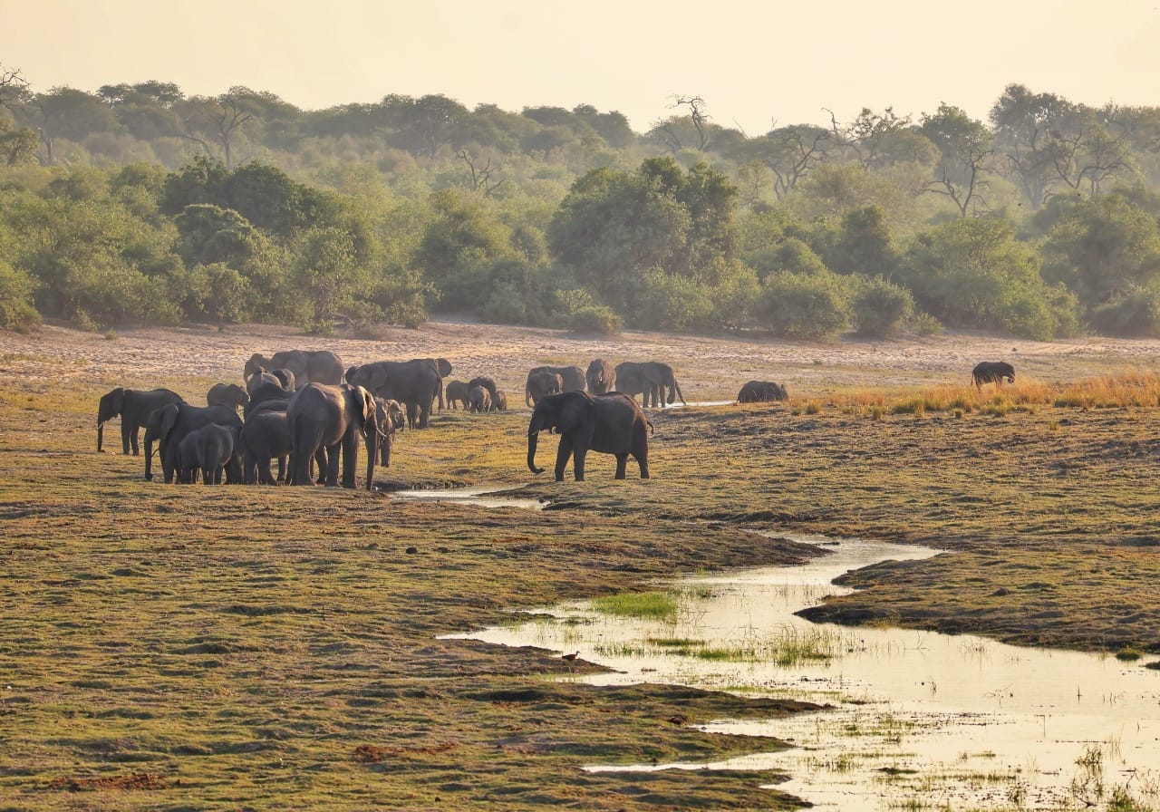 Advice on choosing an African overland tour