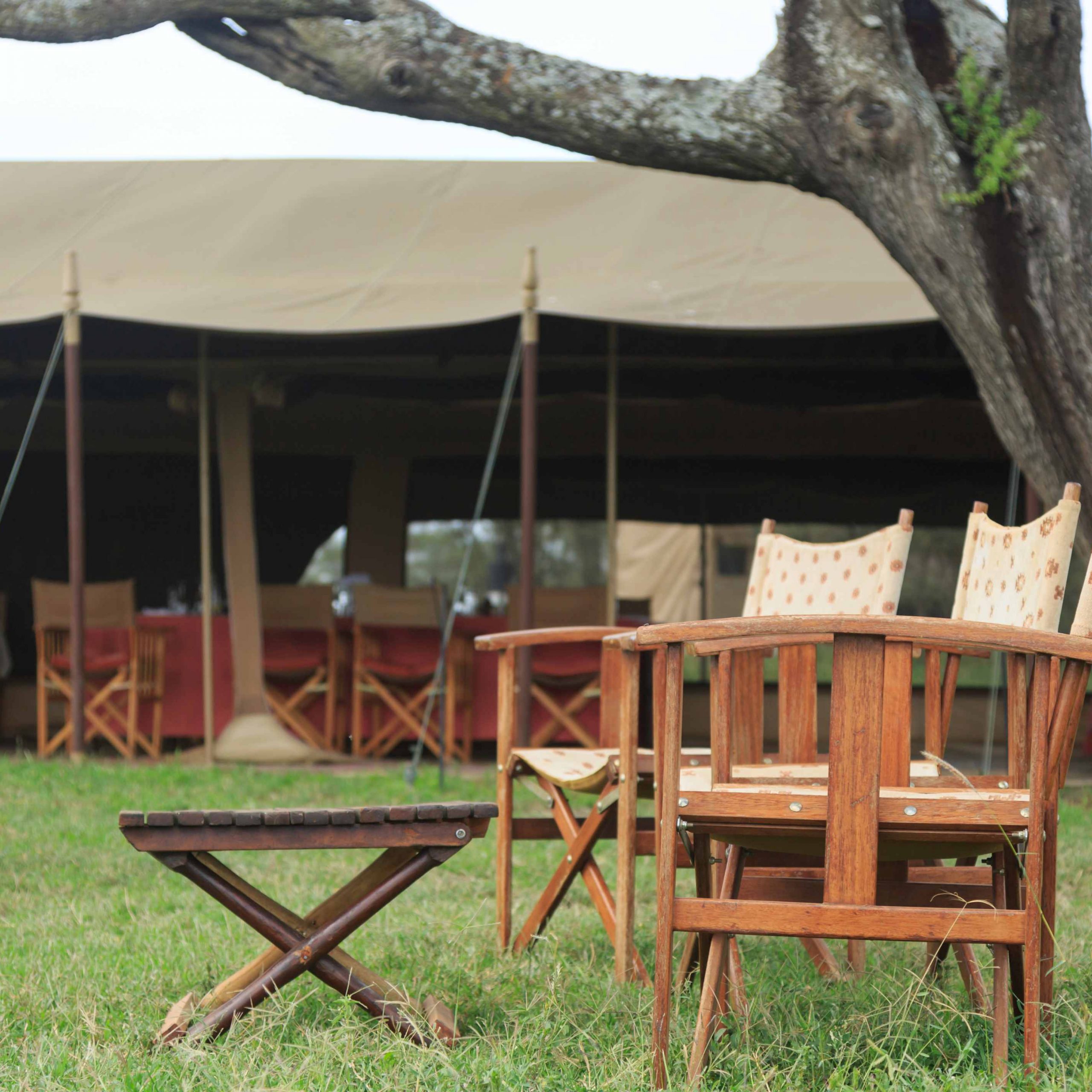 Camping chairs on grass in safari lodge with tented dining area in background behind a tree