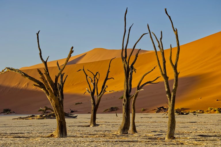 All about Namib-Naukluft National Park, Namibia