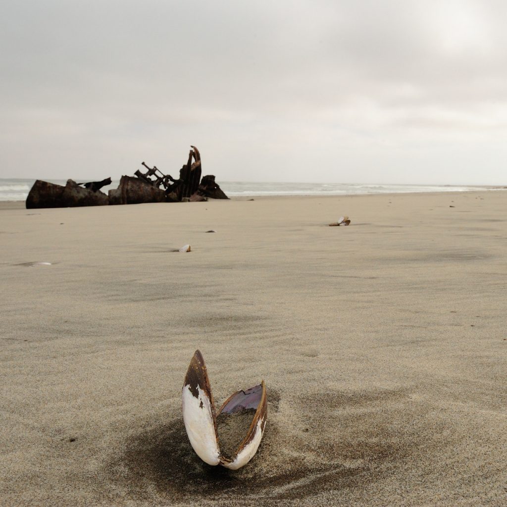 Dunedin shipwreck, Skeleton Coast