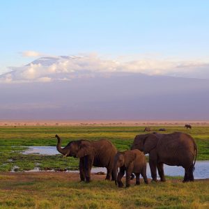 15 Day East Africa Summit & Safari Adventure