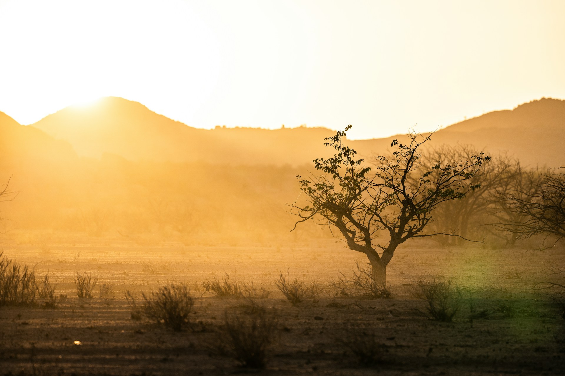 11 Day Namibia’s Iconic Wonders Private Safari