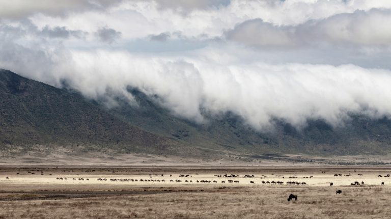 Ngorongoro Crater Is the World’s Most Unique Safari