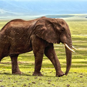 7 Day Tanzania Small Group Adventure