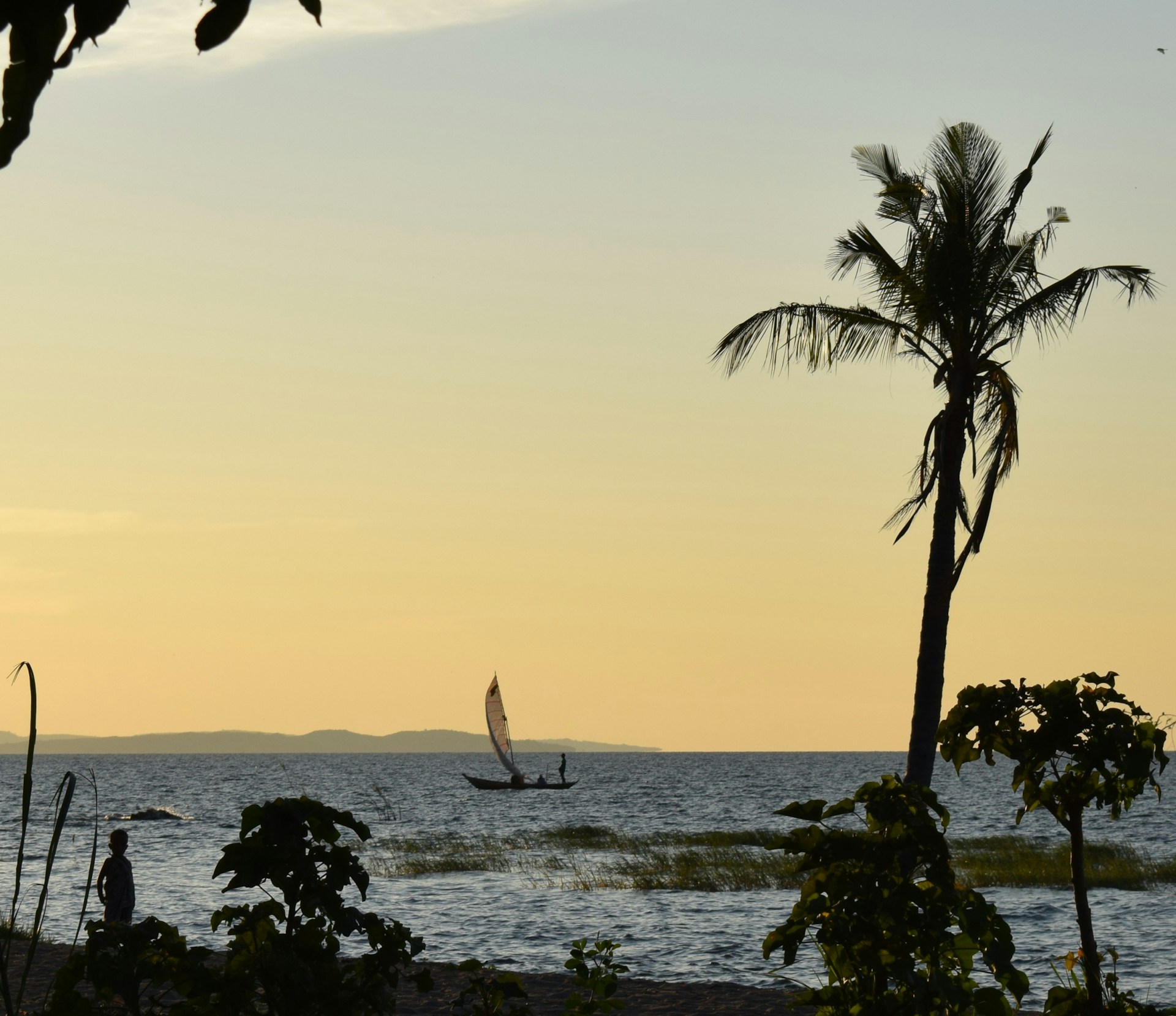 Palm tree and sail yacht on water of Lake Victoria