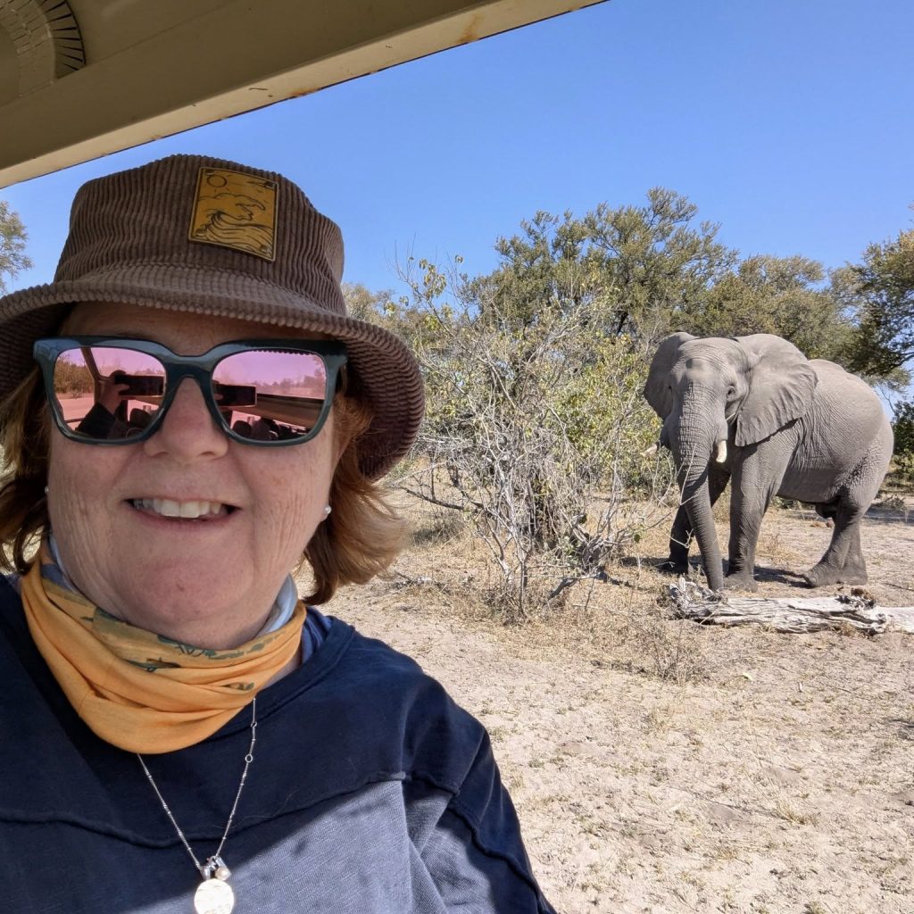 elephants on game drive