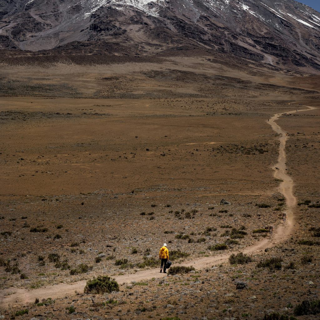 Trekkers on the Saddle of Mount Kilimanjaro, TZ