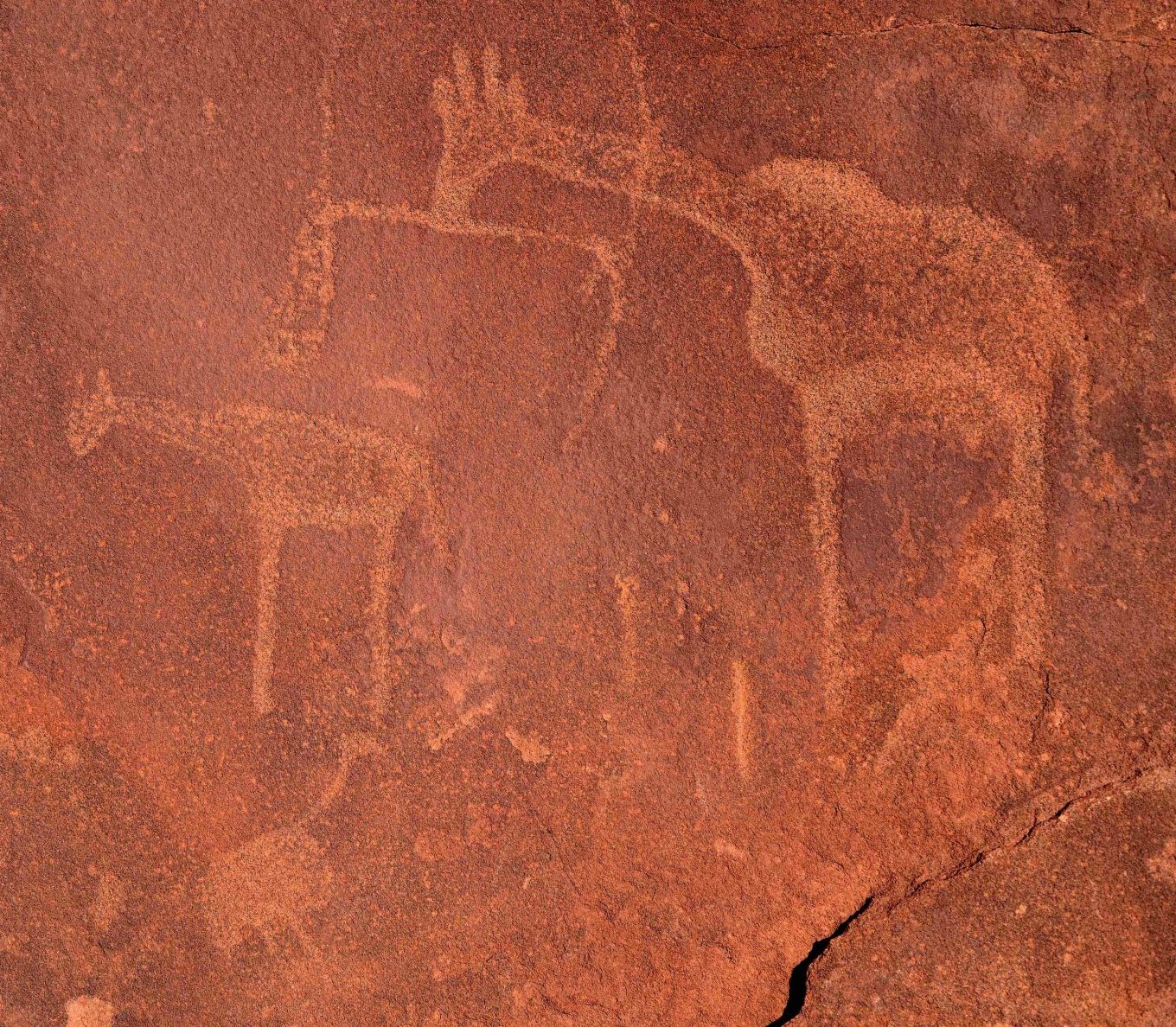 twyfelfontein-petroglyphs