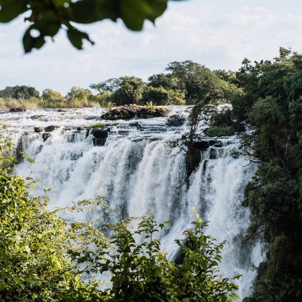 Victoria Falls seen through foliage(1)
