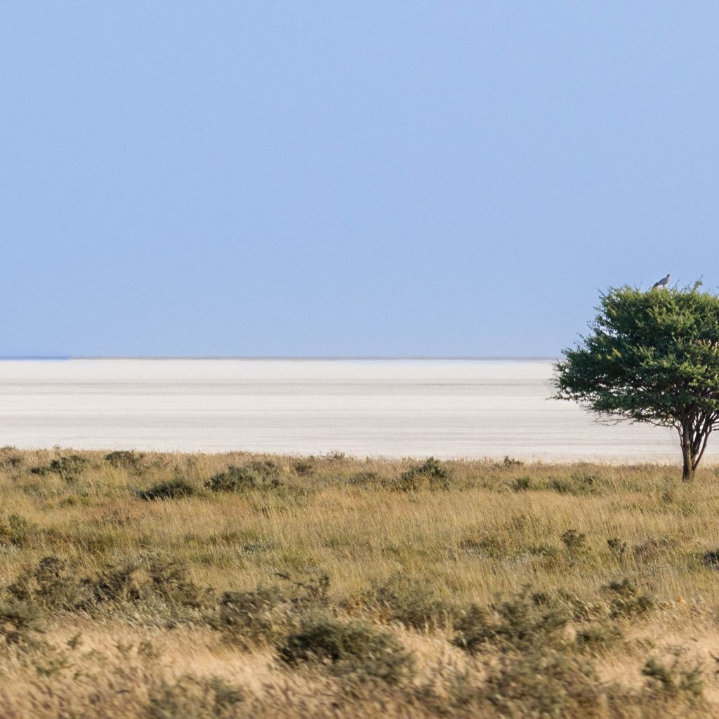 Etosha Salt Pan