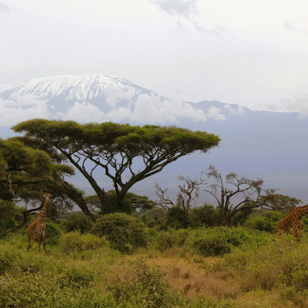 Mount Kilimanjaro