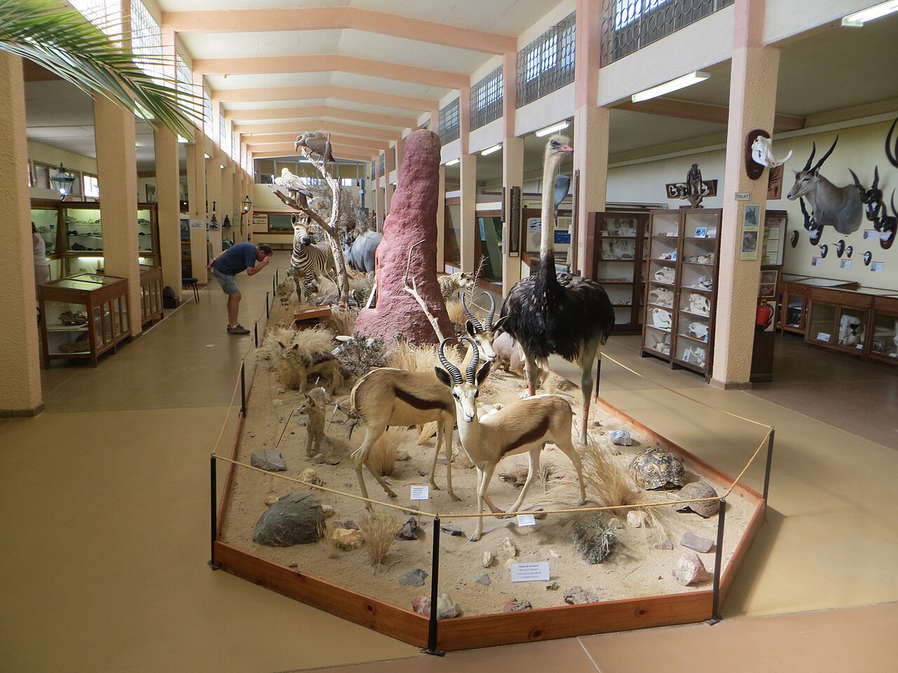 Swakopmund Museum
