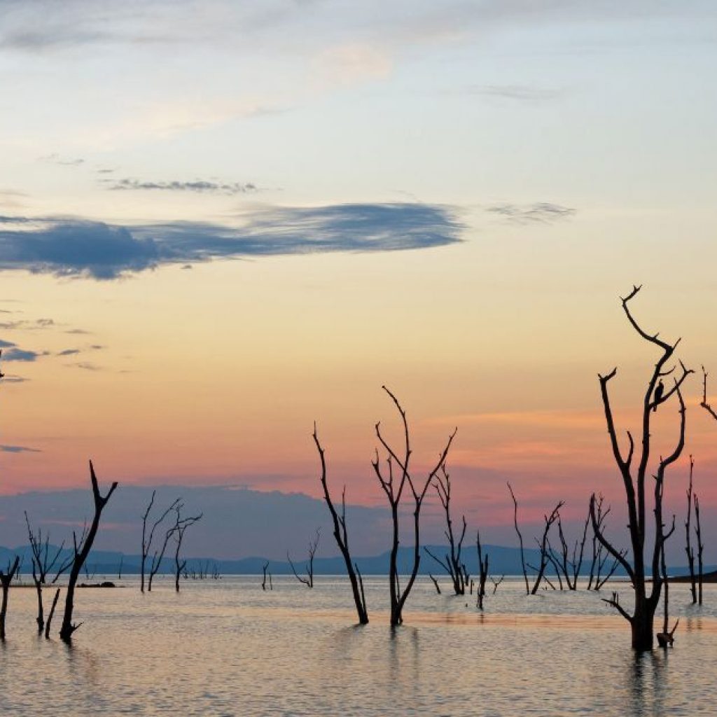 set set along lake kariba with the in water trees