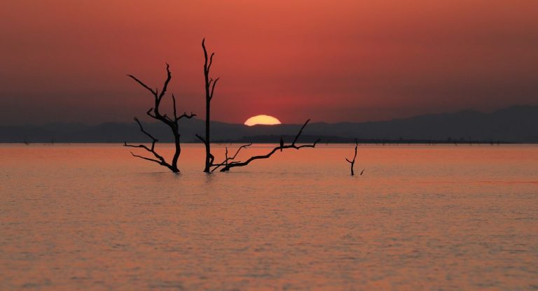 Lake Kariba: The Ultimate Guide to Africa’s Inland Sea