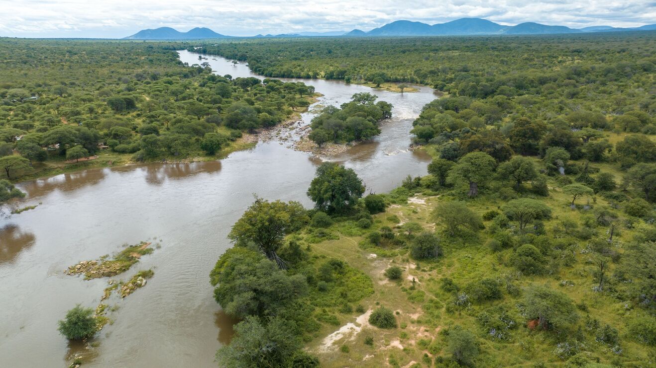 Aerial view of Rufiji River, Nyerere National Park, Tanzanian safari