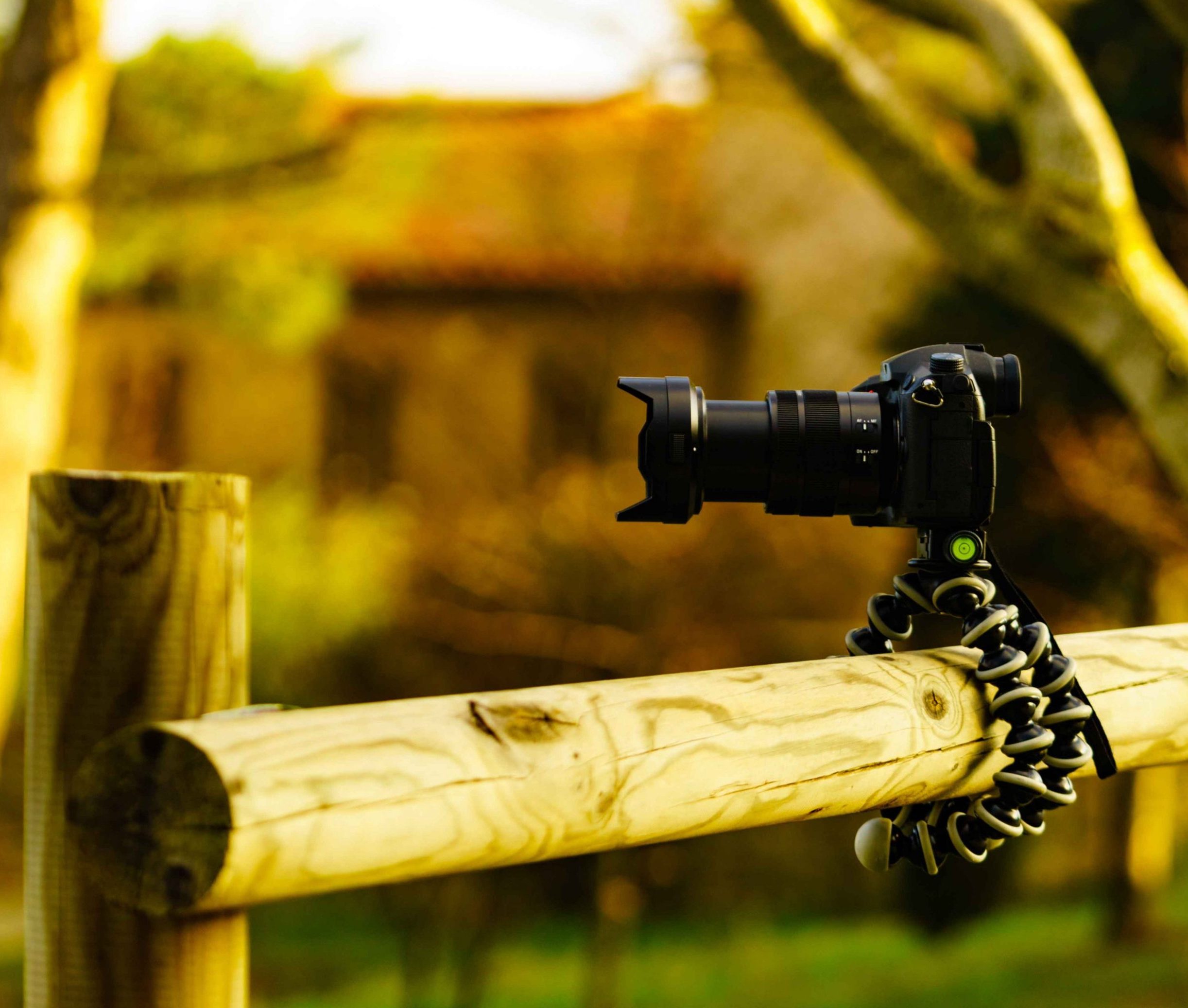 camera on grippable tripod wrapped around fence pole