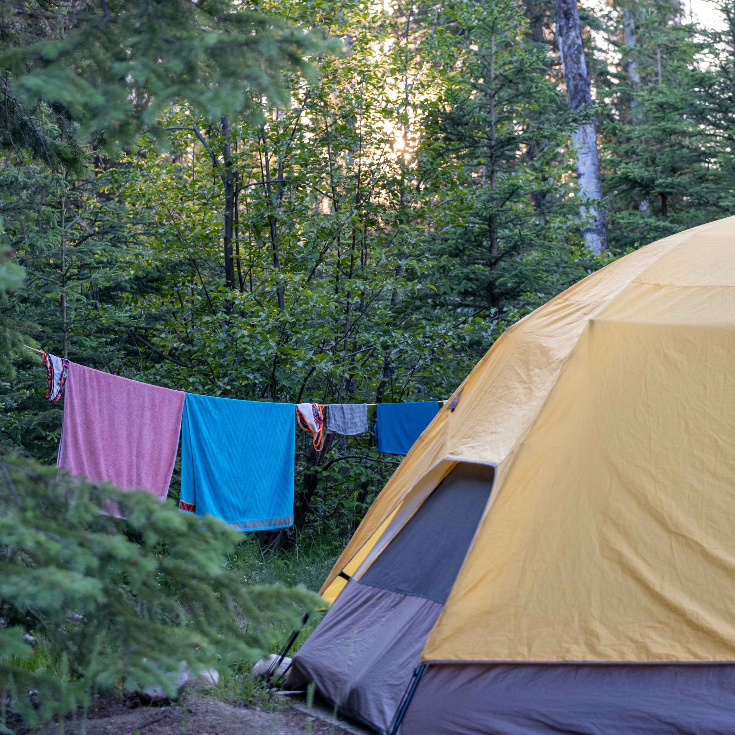 camping clothesline strung between trees with tent in foreground
