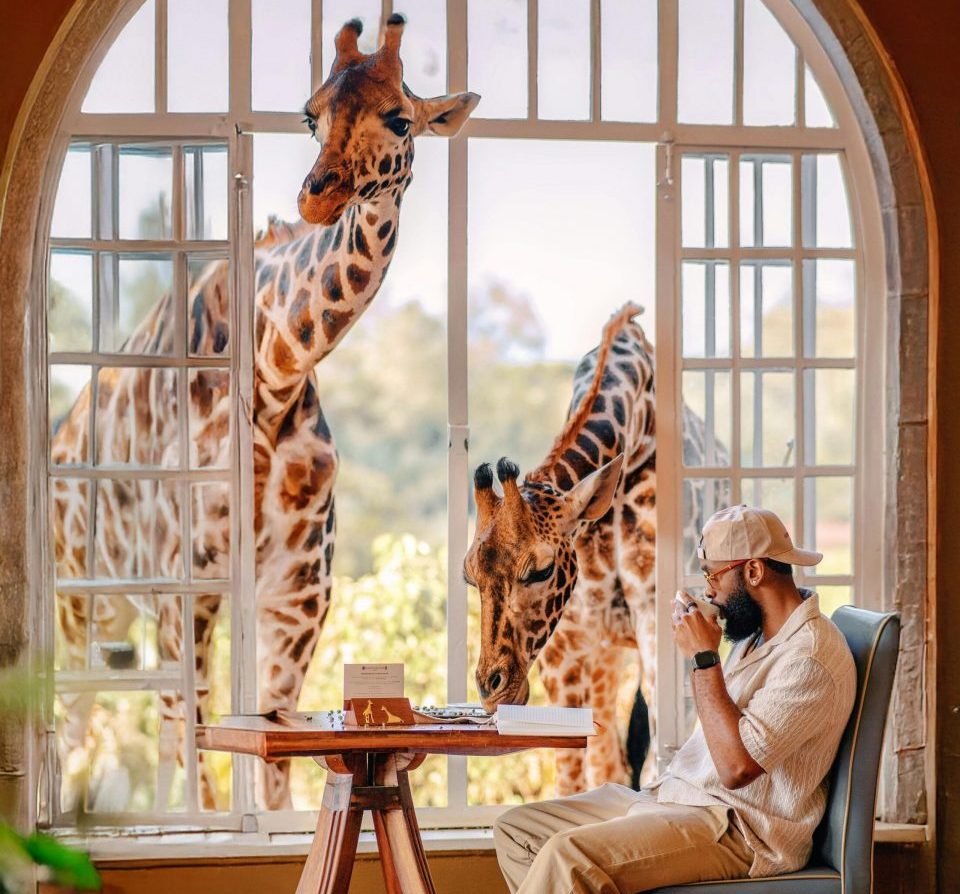 man enjoying coffee with giraffe at Giraffe Manor in Nairobi, Kenya, close wild animal encounter