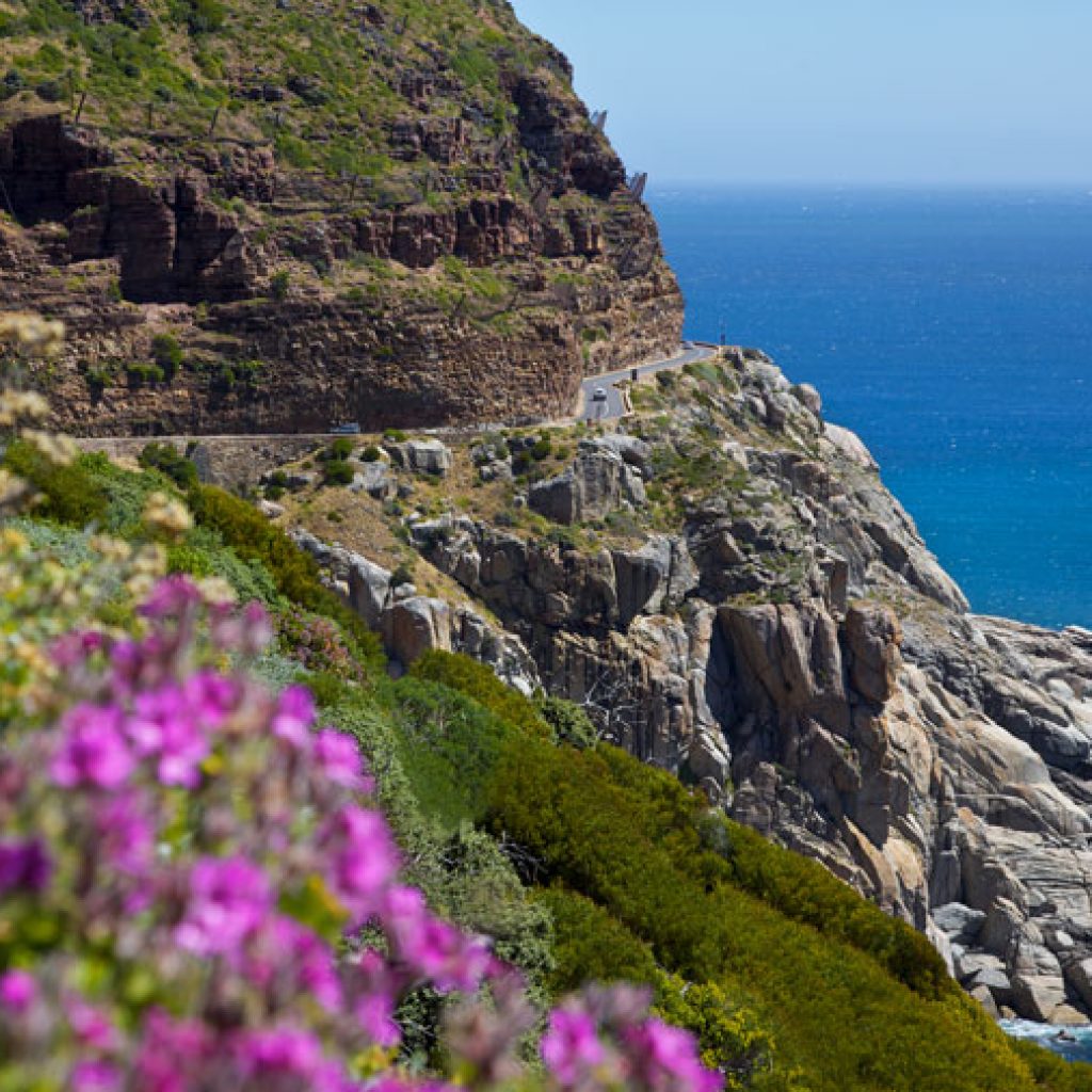 Chapman’s Peak