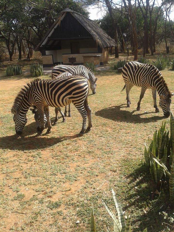NACN56 Day 21: Lusaka, Zambia 2026