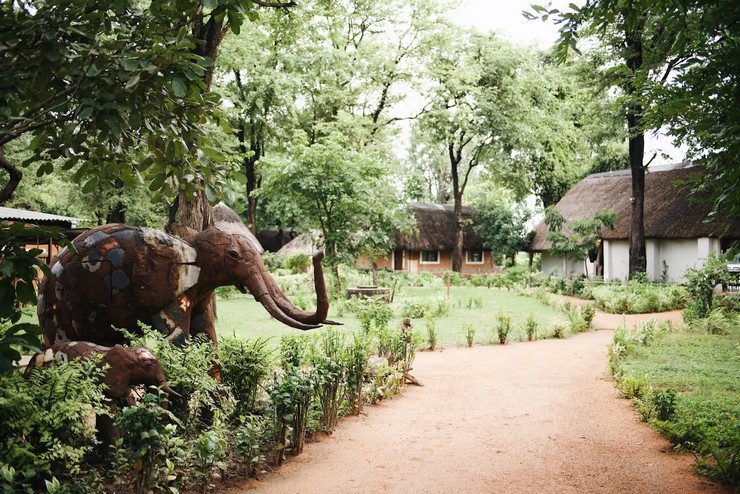 NACN56 Day 23: South Luangwa National Park (NEW) 2026