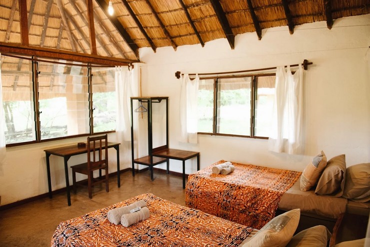 NANC58 Day 34: South Luangwa National Park, Zambia