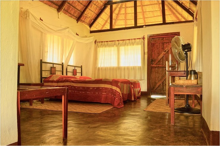 NACN56 Day 24: South Luangwa National Park, Zambia 2026