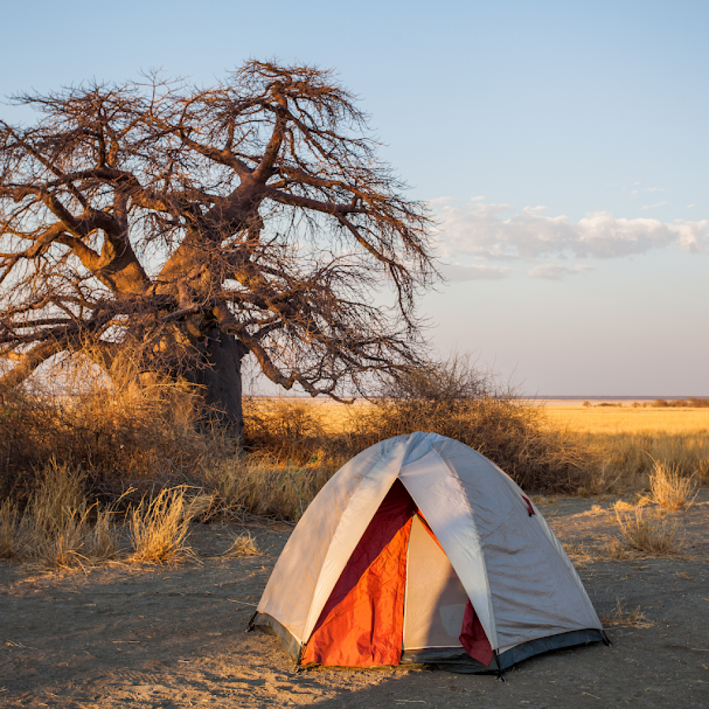 Overlanding tents
