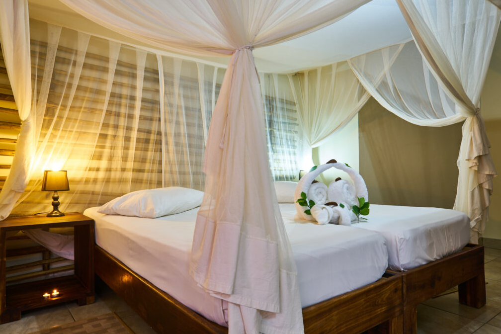 African Overland Tours