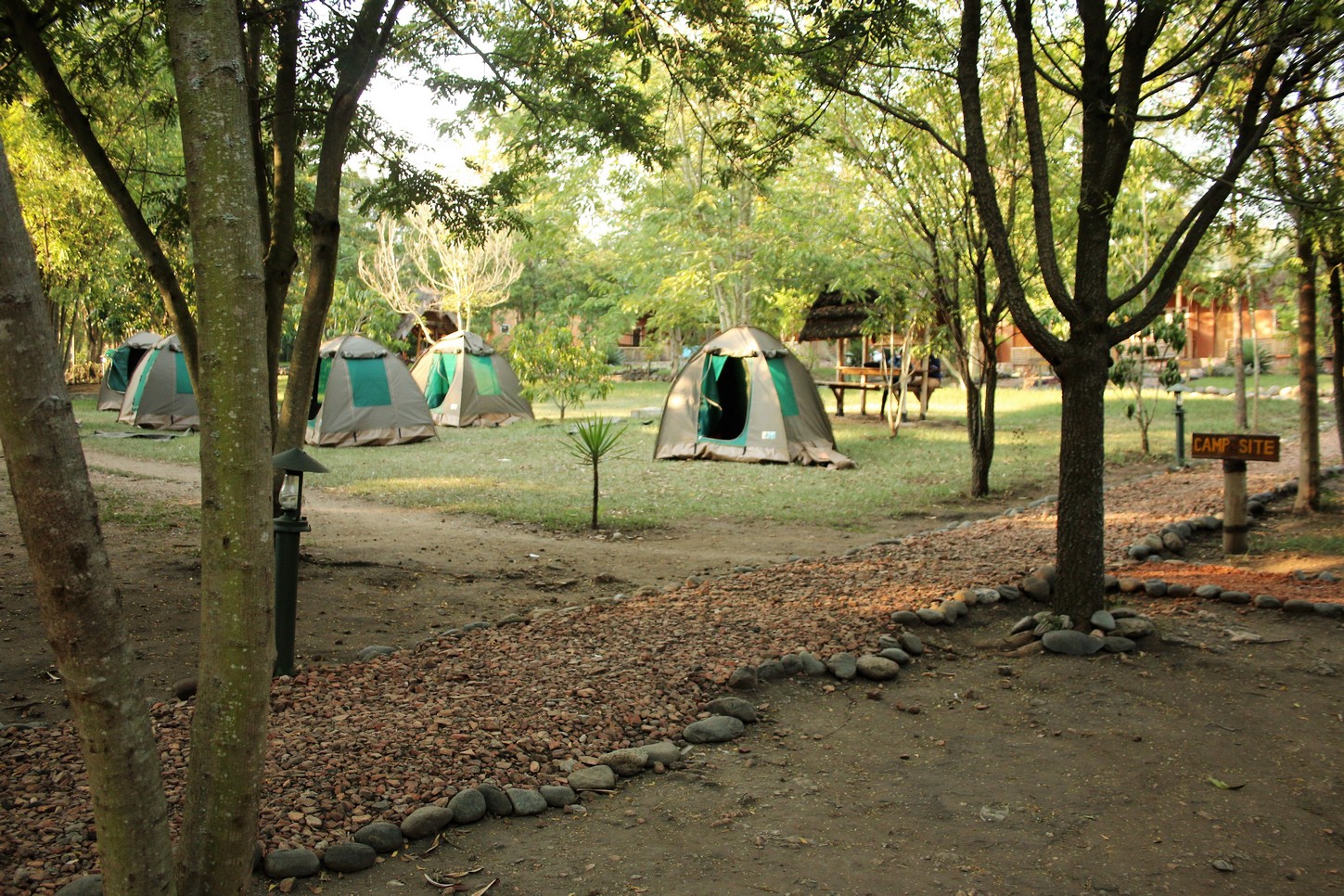 Accommodation in Uganda, Simba Safari Camp