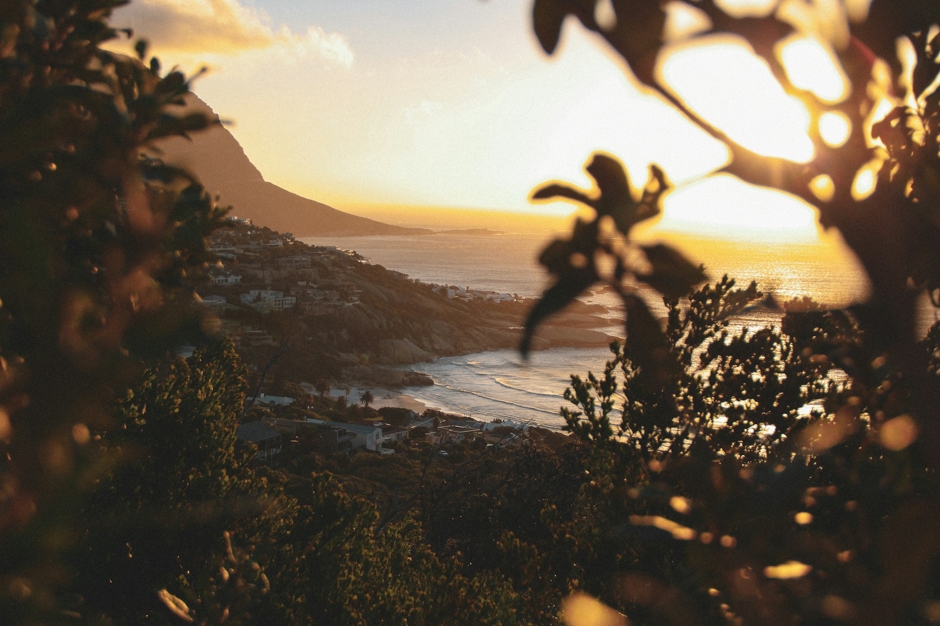 Llandudno seen through foliage at sunset, best photography spots in Cape Town
