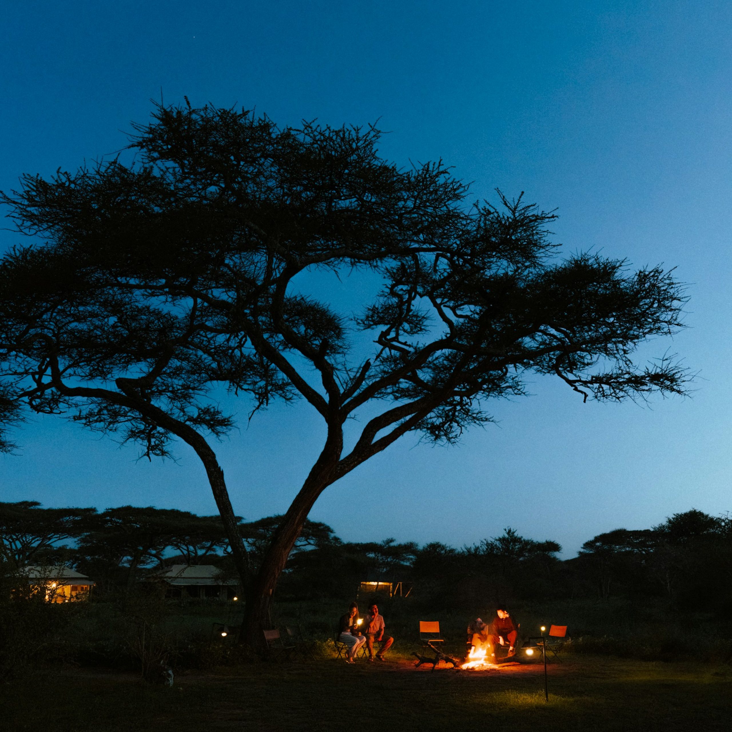 Campfire under acacia tree in Africa, reasons to love camping in Africa