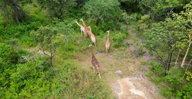6 reasons to travel to Zimbabwe