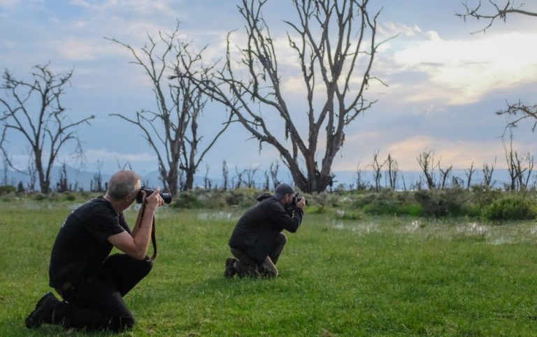 10 Ways to Nail Your Safari Photos