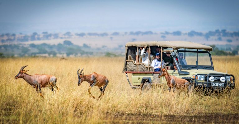 How to Choose the Best African Overlanding Safari for You