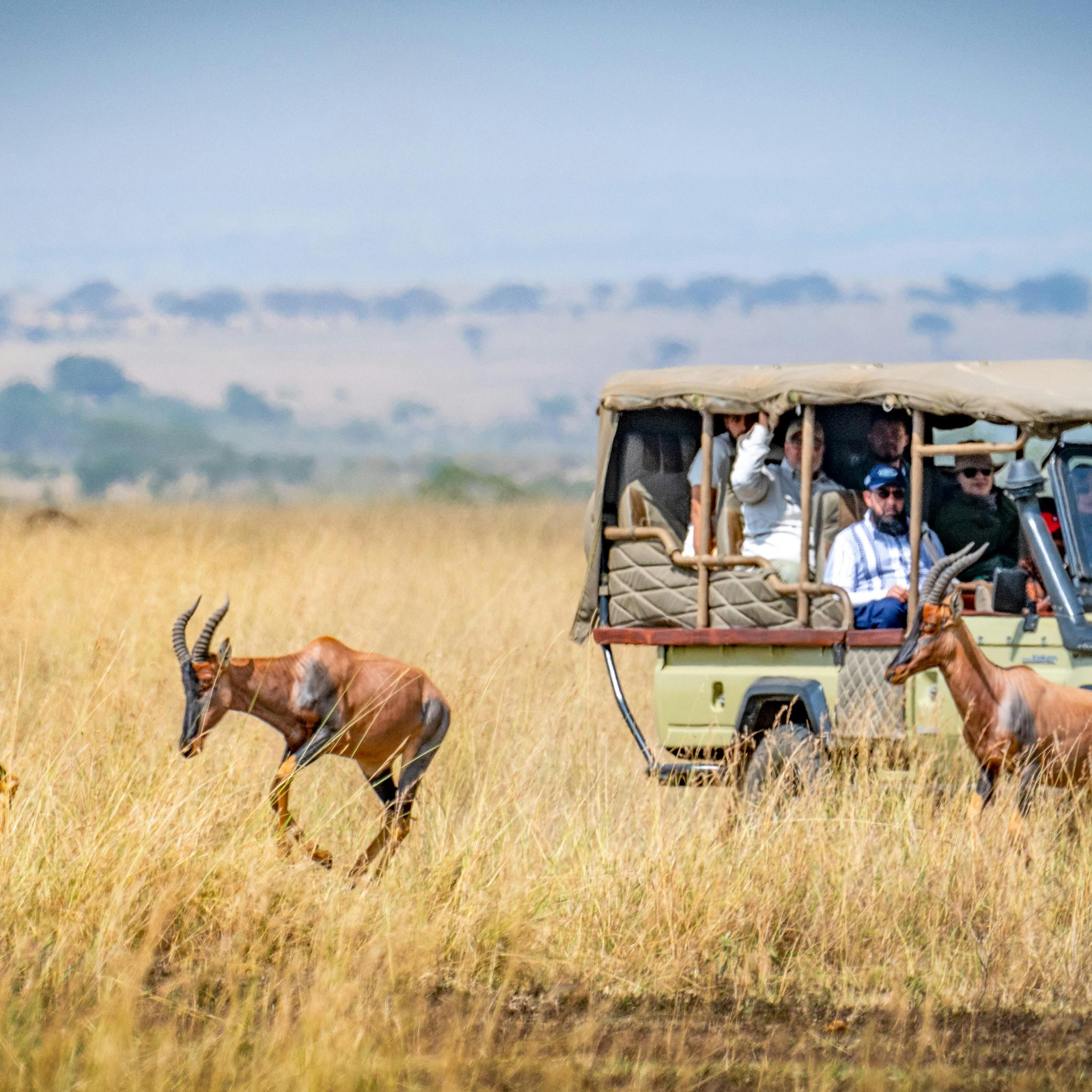 How to Choose the Best African Overlanding Safari for You