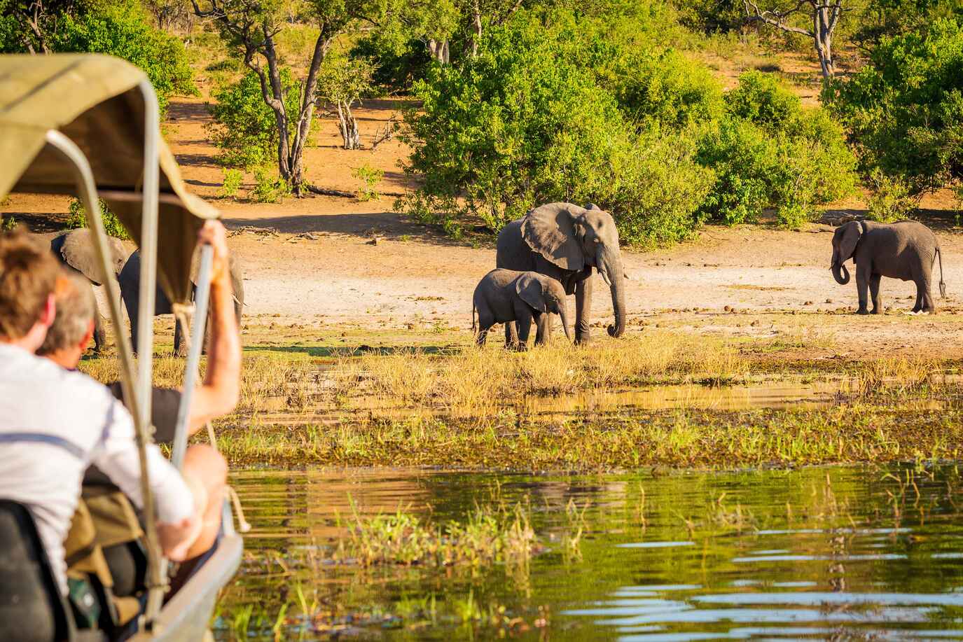 Boat safari and elephants on riverbank