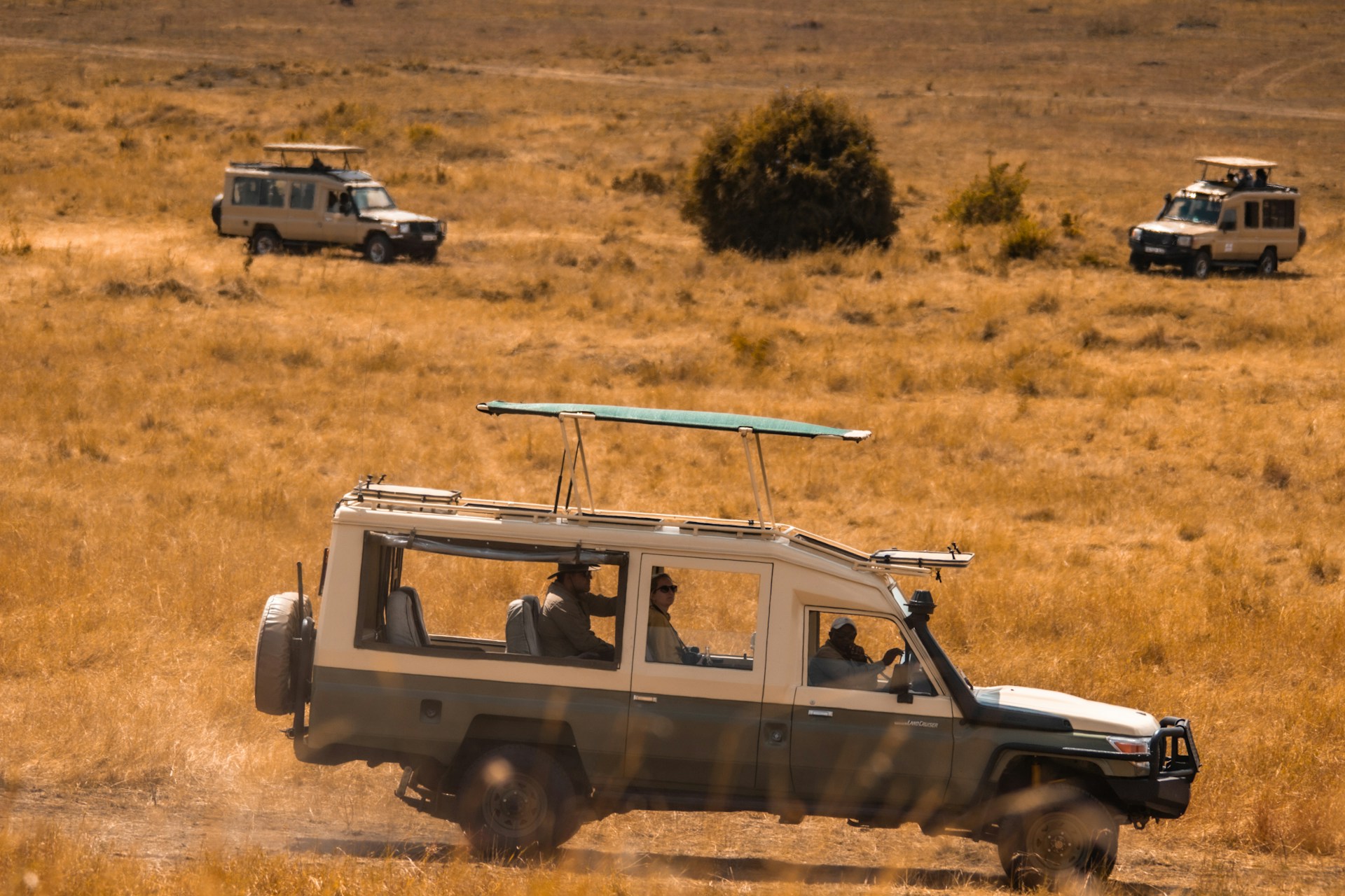 Safari vehicles with people in dry Tanzanian landscape