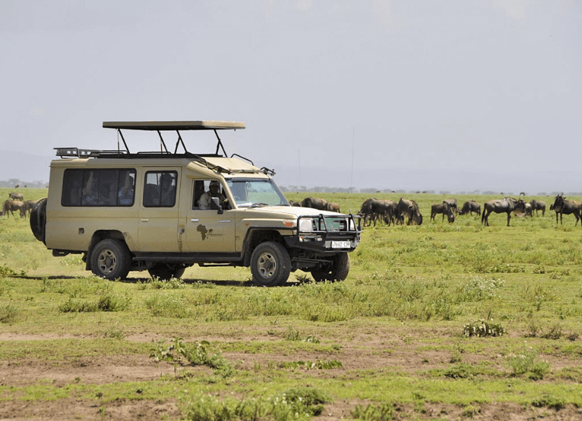 What is a Safari? - When is the Best time to Safari | African Overland ...